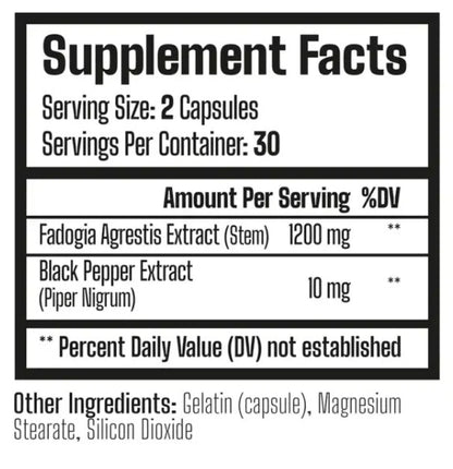 Fadogia Agrestis Testobooster – Naturlig Testosteron, Muskel & Vitalitet